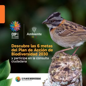 Estamos en la recta final para presentar el Plan de Acción de Biodiversidad en la #COP16. ¡Queremos conocer tus ideas! Participa en la consulta ciudadana hasta el 28 de septiembre ➡️ https://lc.cx/dBJM2S