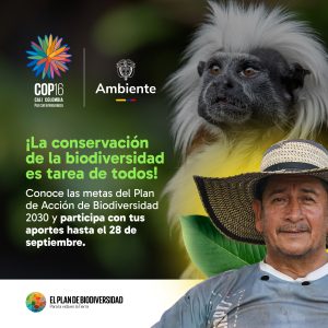 Eres un actor clave en el Plan de Acción de Biodiversidad 2030. Participa en la Consulta Ciudadana y contribuye a definir cómo alcanzaremos las metas propuestas para el 2030. Haz tu aporte aquí: https://bit.ly/4eBI20G #COP16