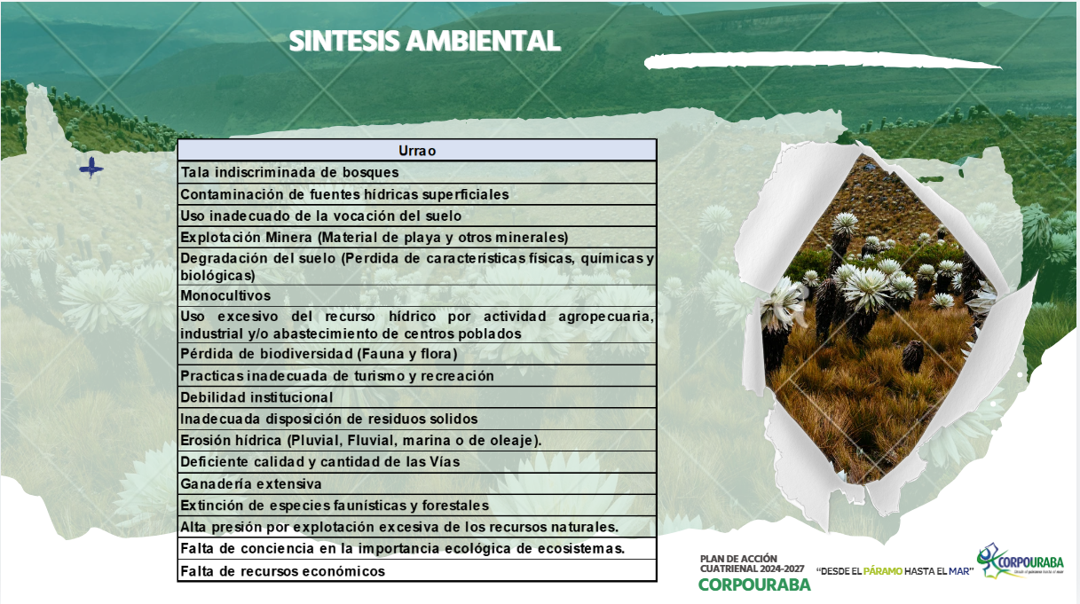 Síntesis ambiental Urrao 2