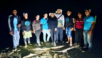 Monitoreo de tortugas marinas en Playa Bobalito.