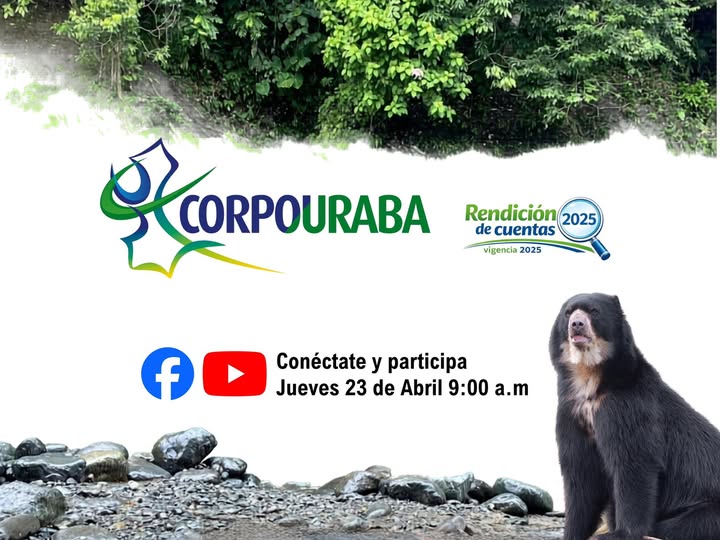 Invitación a conectarse a la audiencia pública de avances del PAC 2024-2027. 