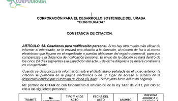 CONSTANCIA DE CITACION PARA NOTIFICACIÓN PERSONAL