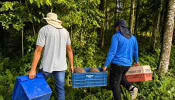 Devolver la fauna a su hogar es devolver equilibrio al territorio.