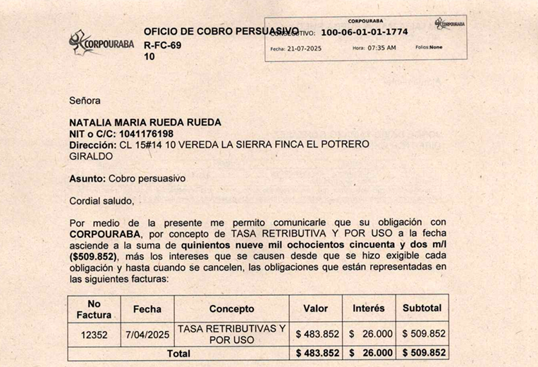 Cobro persuasivo - NATALIA MARIA RUEDA RUEDA, Rad 1774 del 21/07/2025